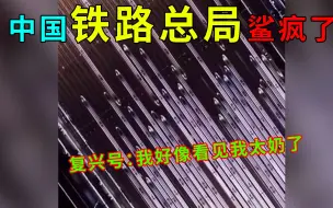 Download Video: 中国基建鲨疯了：复兴号太奶都出来了，高铁：拉不完 根本拉不完