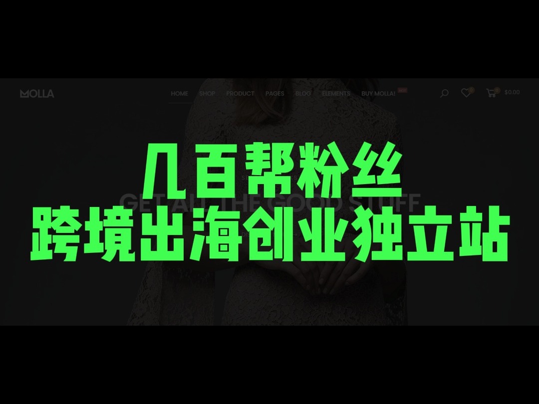 几百帮粉丝跨境出海创业独立站哔哩哔哩bilibili