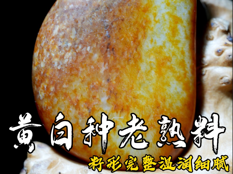 黄白种老熟料哔哩哔哩bilibili