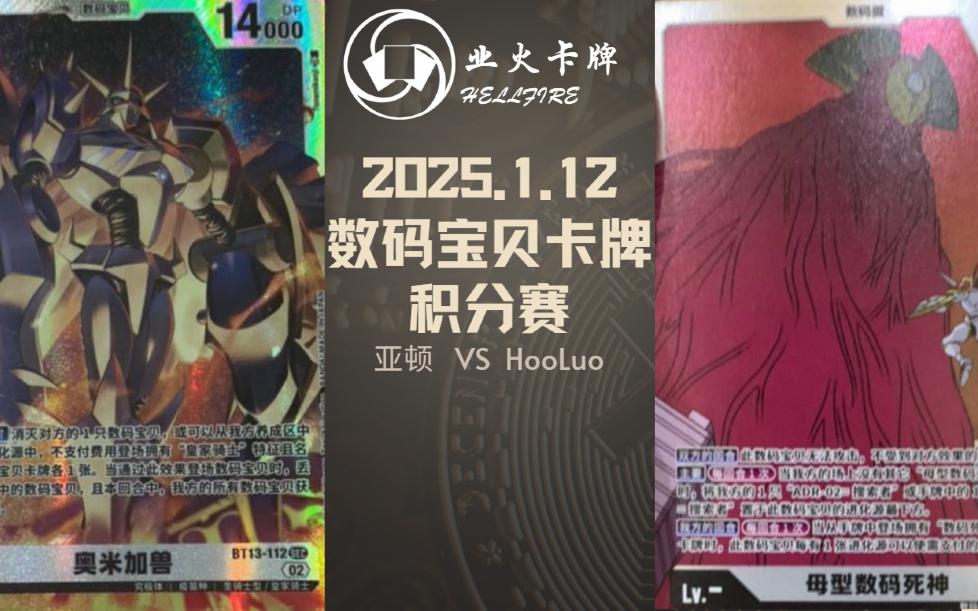 【贵阳业火卡牌】DTCG积分赛决赛【皇家骑士】VS【阻挡控】桌游棋牌热门视频