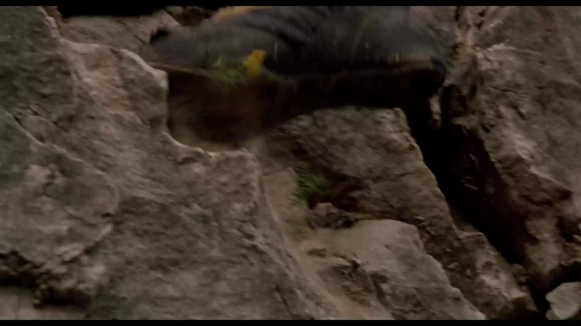 致命弯道 1-7全部 1080超清 网盘资源