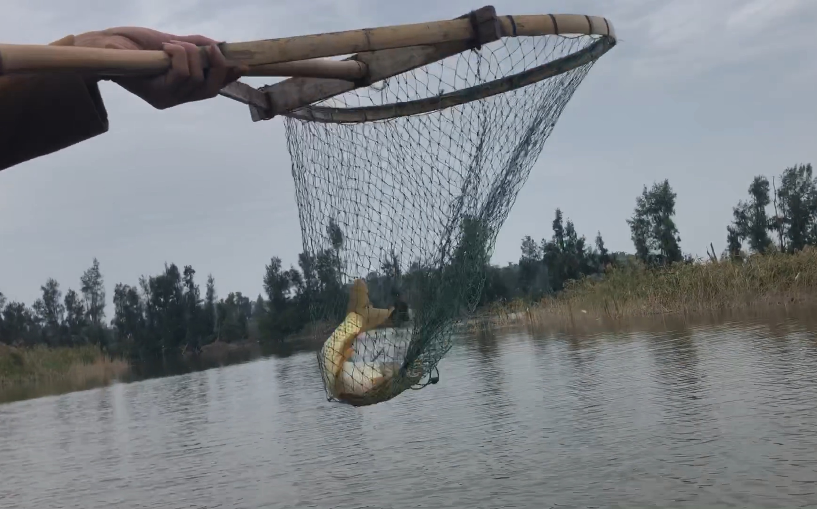 大清早出船下网捕鱼,一网捕了9条鱼,满载而归!_哔哩哔哩_bilibili