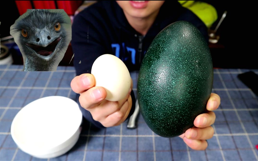 试吃有蛋中之王美称的鸸鹋蛋,168块钱一个,长得像石头一样