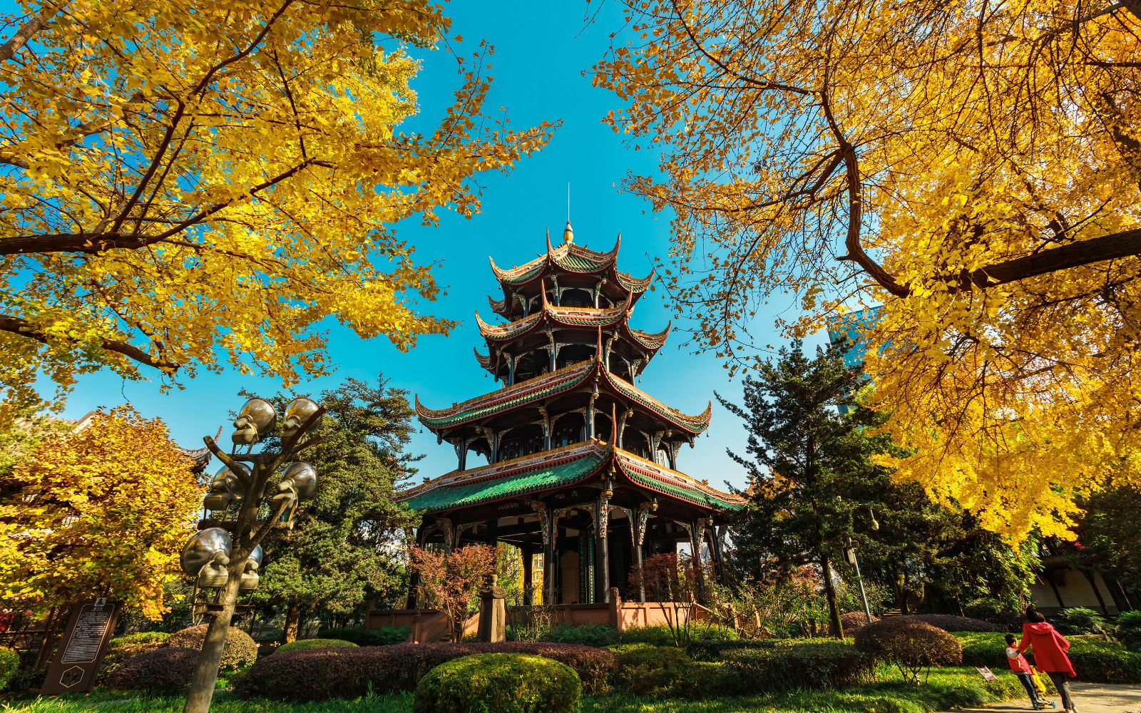 延时摄影望江楼公园