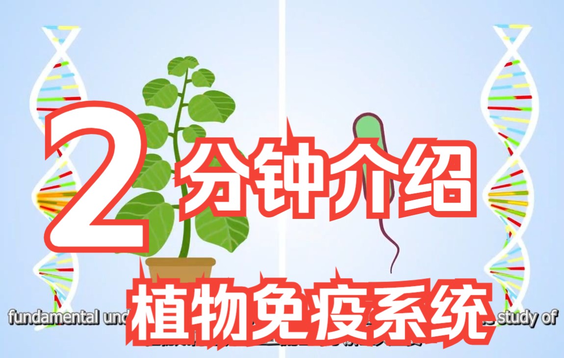 [图]植物的免疫系统-（中英双字幕）