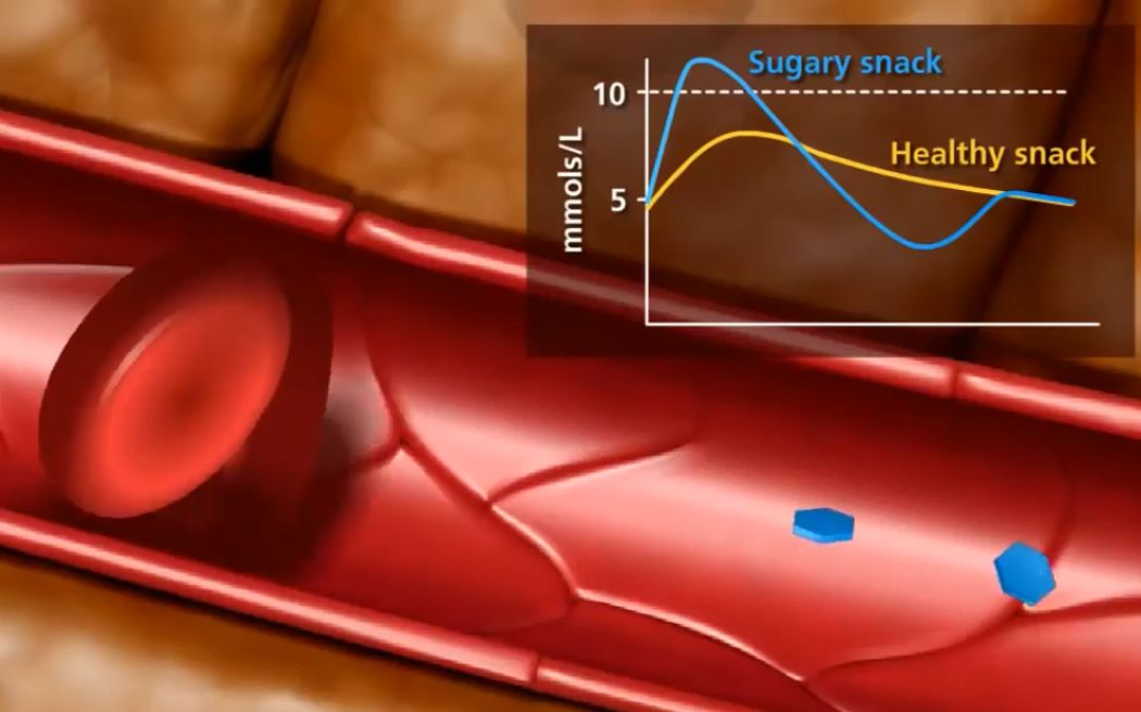 [图]【3D演示】稳态与血糖调节（原版+字幕版）