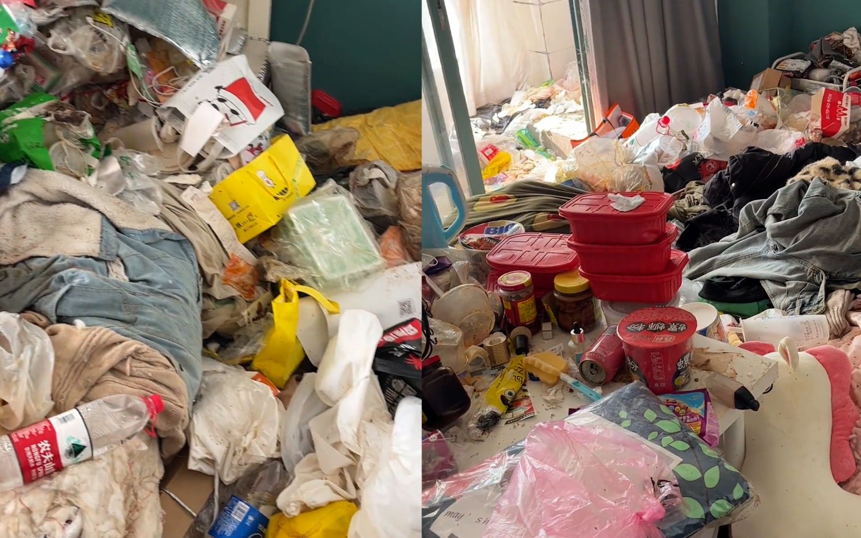 海归女租客住处脏如垃圾场无从下脚惹网友吐槽蟑螂住这都嫌挤