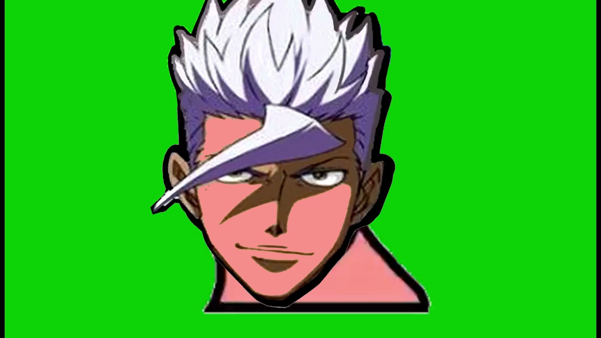 活动  化身为派对鹦鹉的奥尔加bb