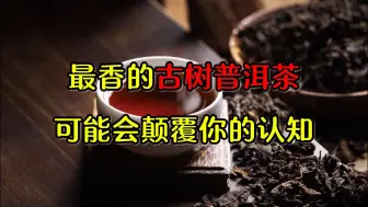 Download Video: 最香的古树普洱茶可能会颠覆你的认知！