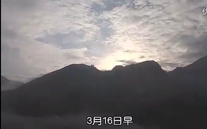 猫咪物语(2)哔哩哔哩bilibili