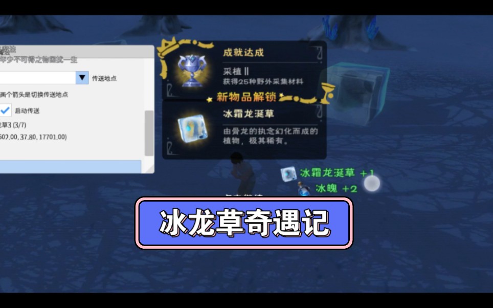 创造与魔法之冰龙草奇遇记