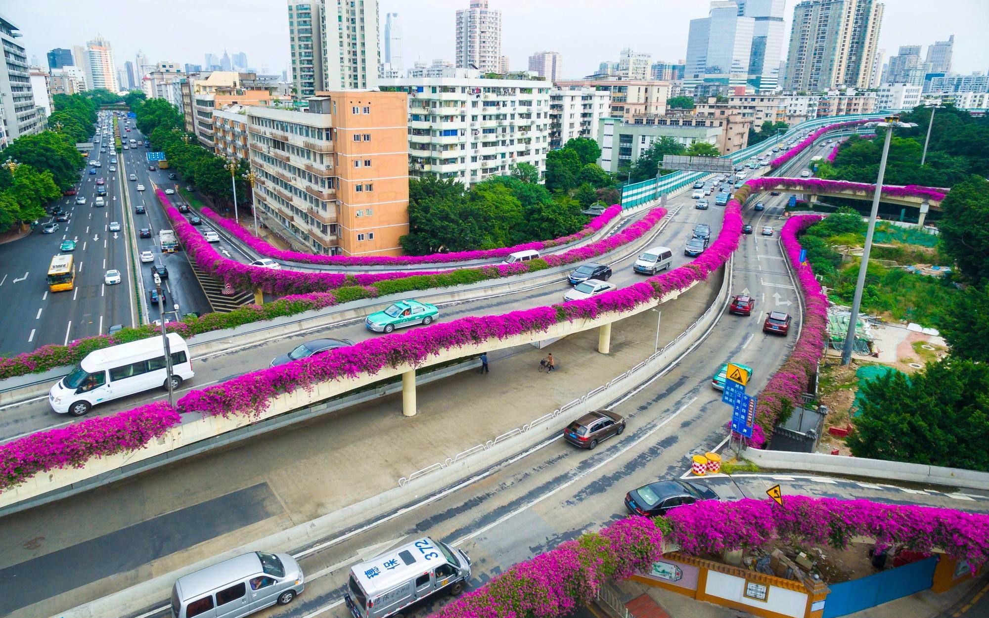 中国第一座高架桥,设计到完工仅用十个月,15万广州市民去庆祝