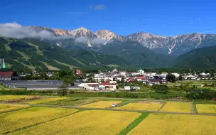 下载视频: 【4K超高清日本】第一视角 从染上金黄色的田地眺望白马连峰 2022.9