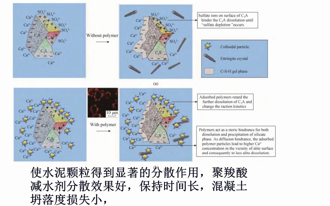 聚羧酸盐单词由来和聚羧酸减水剂的分散作用哔哩哔哩bilibili