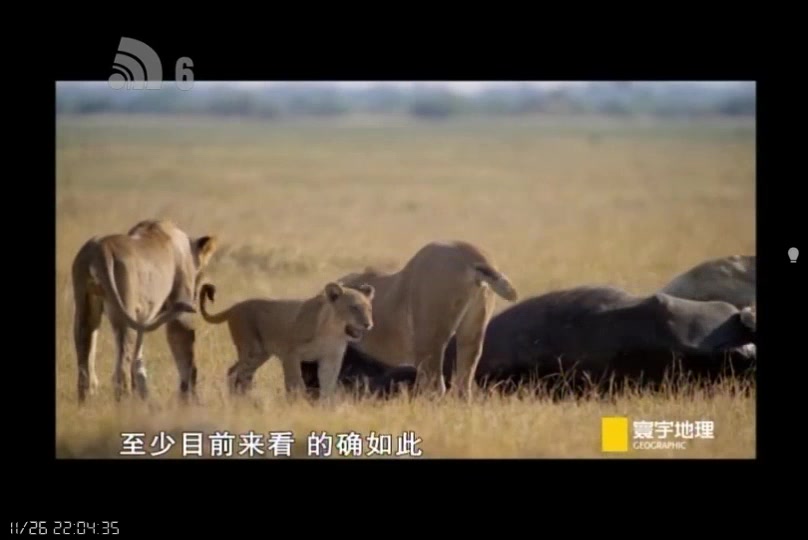 [图]【国家地理纪录片】寰宇地理 野兽王国：生存之战