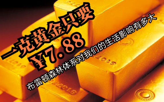 一克黄金只要￥7.88?布雷顿森林体系对我们的生活影响有多大?哔哩哔哩bilibili