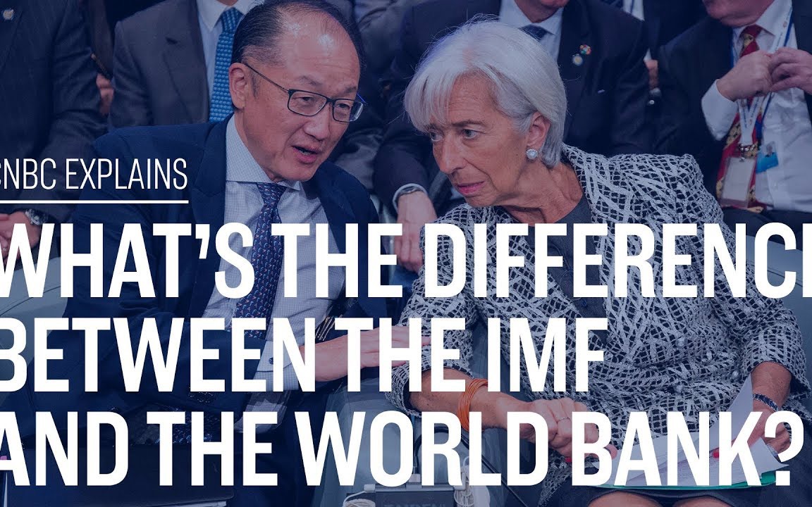 【英文字幕经济】IMF和世界银行的区别 What's the difference between the IMF and the World Bank哔哩哔哩bilibili