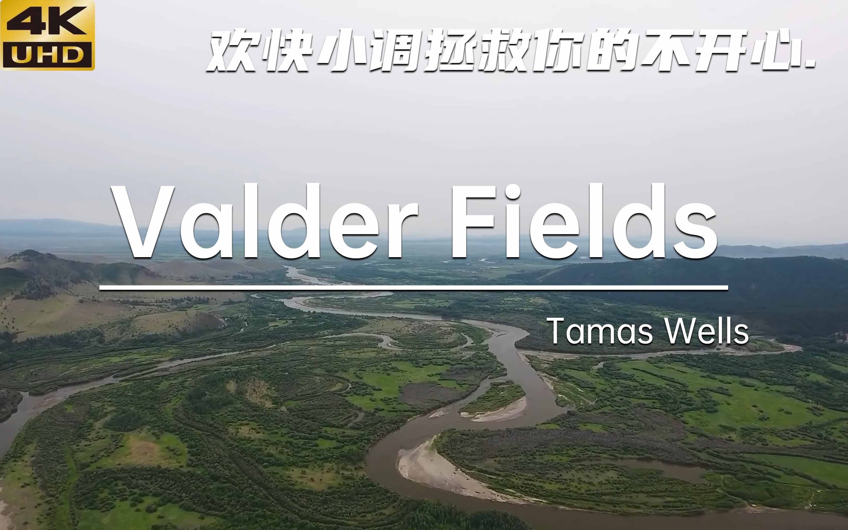 [图]欢快小调拯救你的不开心 Valder Fields - Tamas Wells