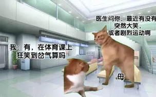 下载视频: 【猫meme】关于真的能把肺笑炸这件事