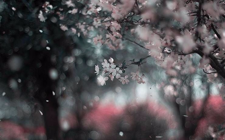 任然  山外小楼夜听雨,风景图当背景哔哩哔哩bilibili