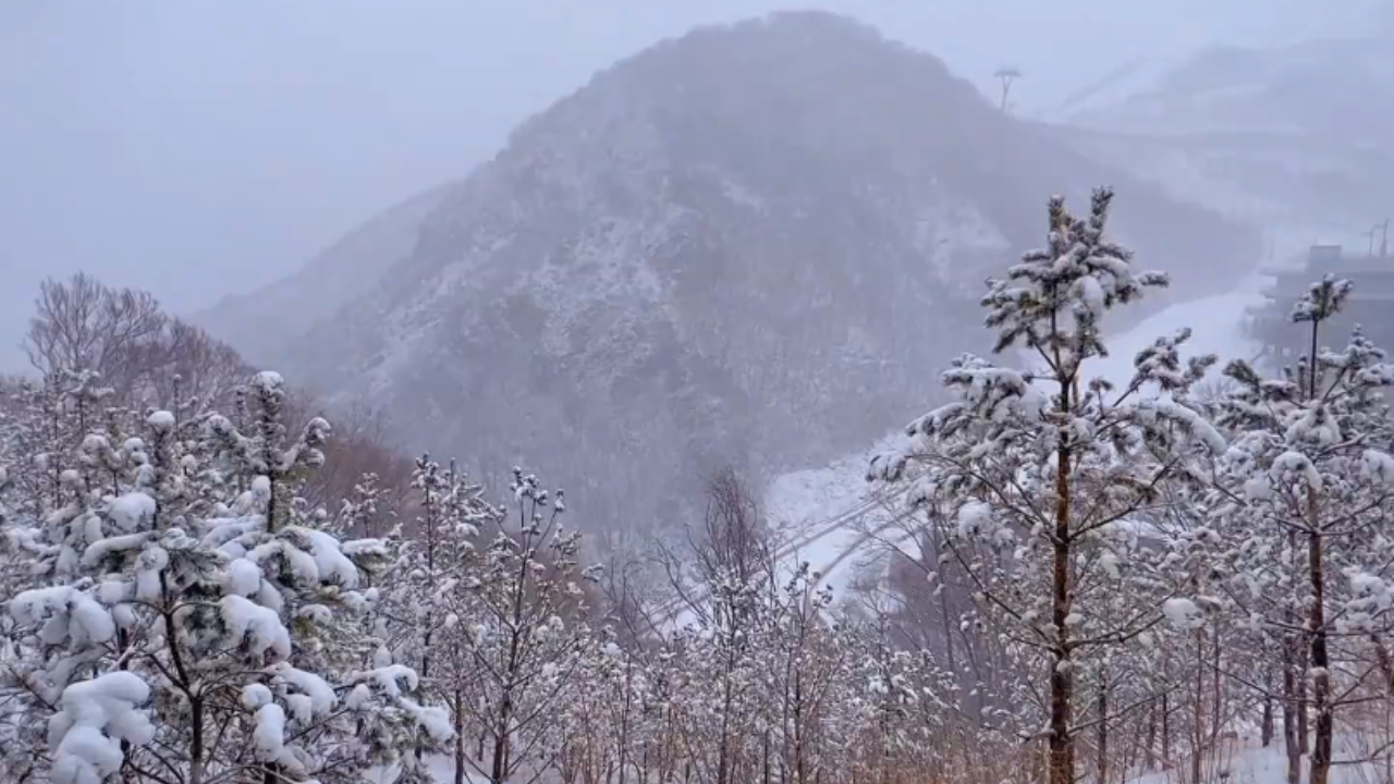 北京四月飘雪 延庆海陀戴雪美若仙境!哔哩哔哩bilibili