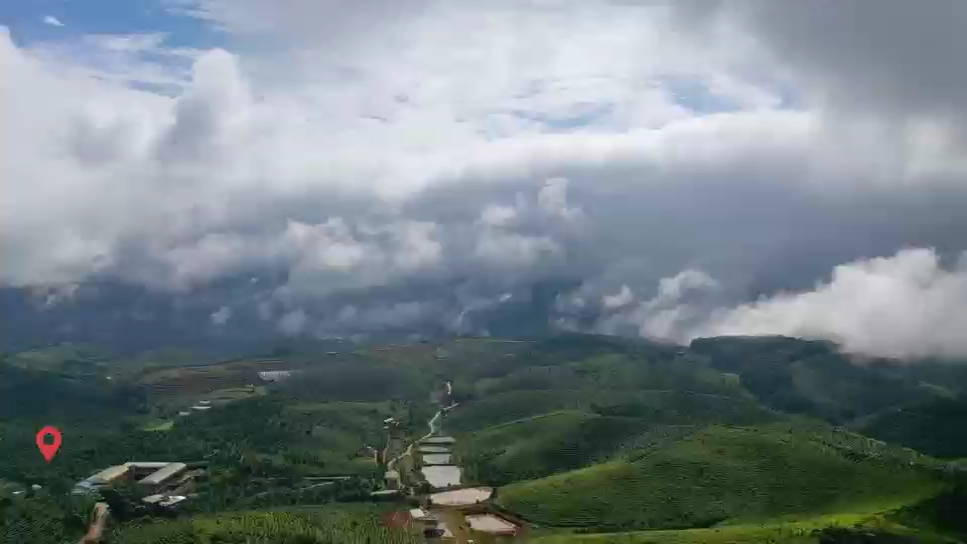 [图]云南景洪，以科技赋能的世界级茶园，助力乡村振兴