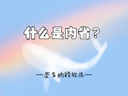 什么是内省?哔哩哔哩bilibili