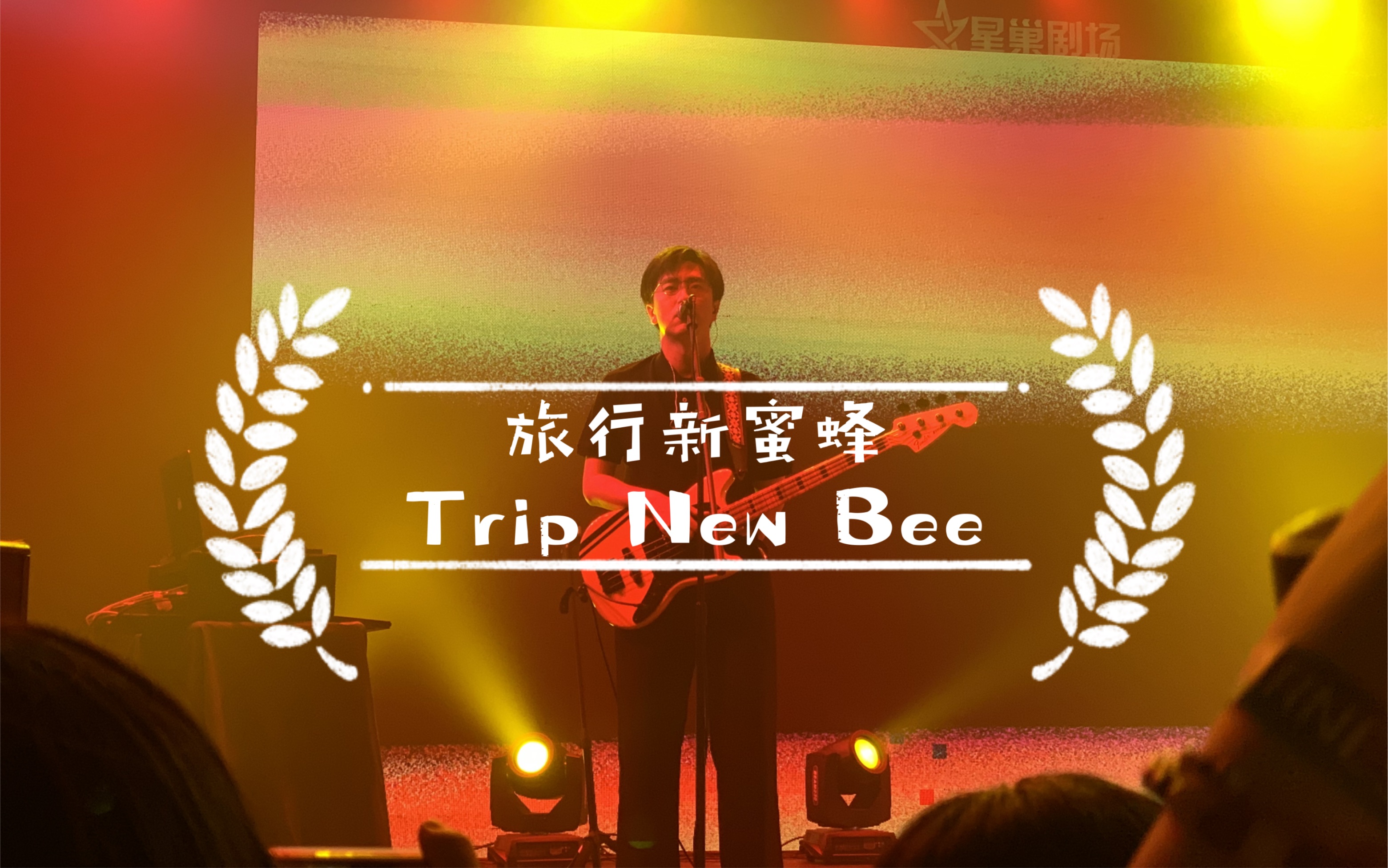 20230616 旅行新蜜蜂金風玉露寧波巡演 畫質感人 全是瘋話