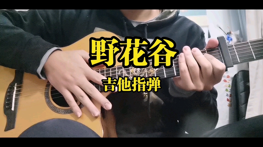 【指弹】野花谷 cover 杨昊昆