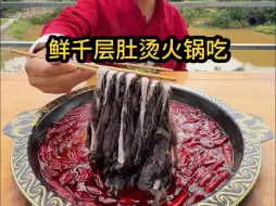 下载视频: 鲜千层肚烫火锅吃！