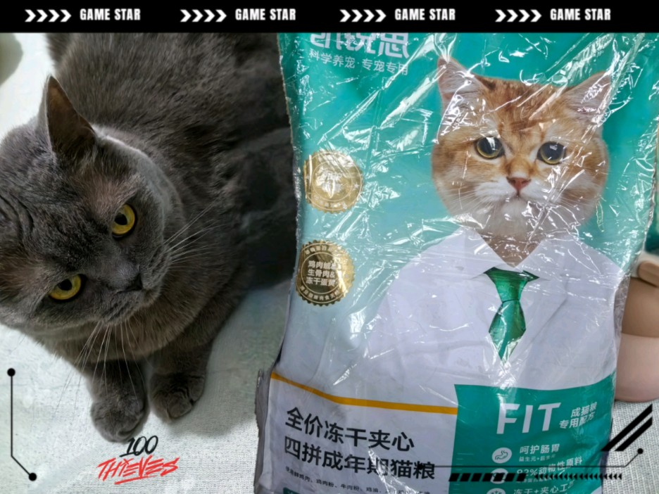 美味猫粮推荐就选凯锐思!哔哩哔哩bilibili