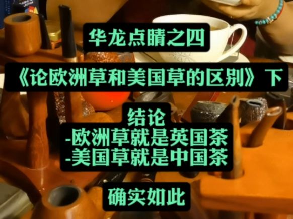 华龙点腈之四 《论欧洲草和美国草的区别》下 结论 欧洲草就是英国茶 美国草就是中国茶 确实如此哔哩哔哩bilibili