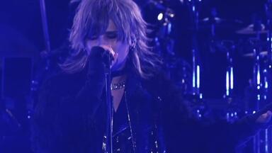 Royz SUMMER ONEMAN TOUR Dolly’s Lucid… Amazon.co.jp: Royz SUMMER ONEMAN TOUR 『Dolly's Lucid
