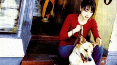 ZARD – 坂井泉水時間の翼～30th Anniversary～ 「 明日もし君が壊れて