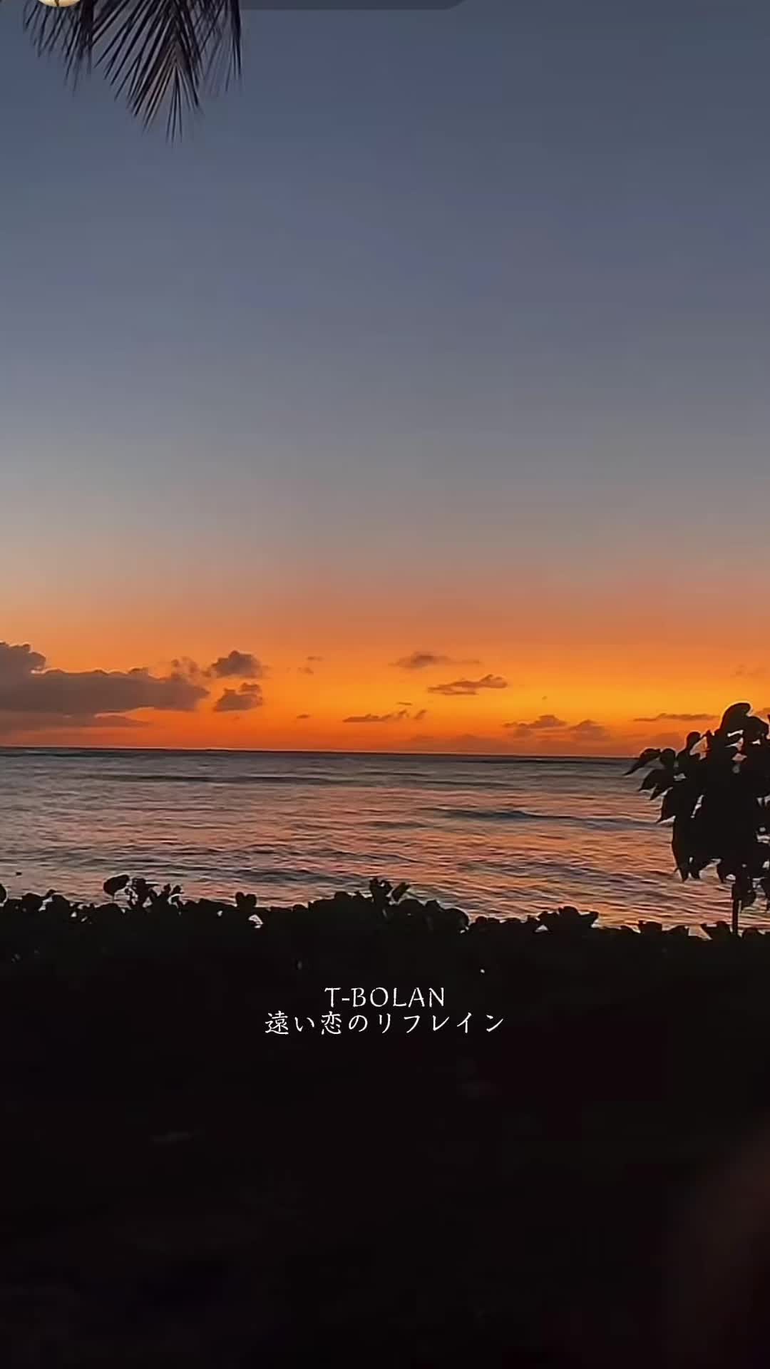 capcut #遥远的恋爱的反射 #tbolan #t-bolan #歌词动画 #塞班岛的