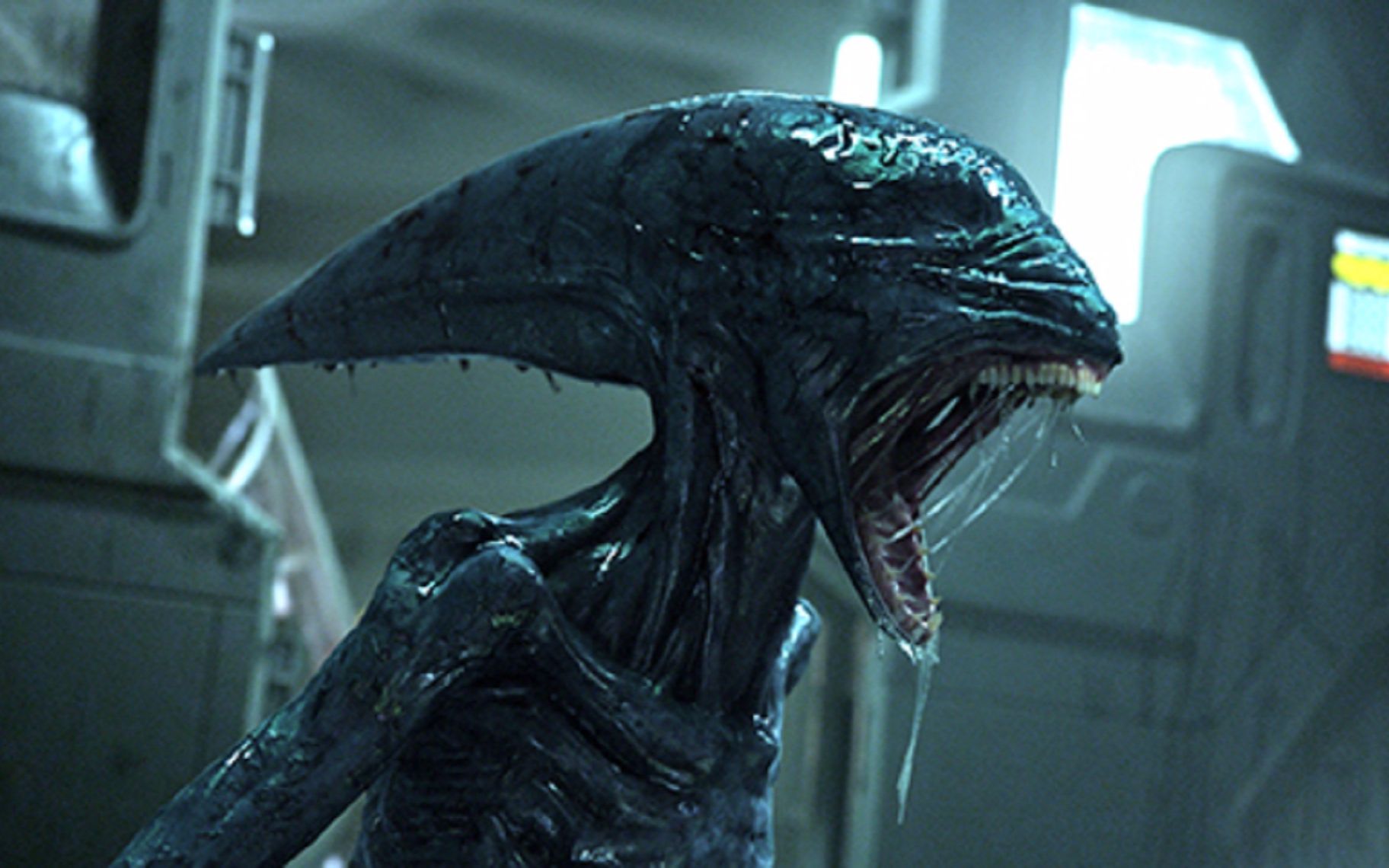 0 #音乐宇宙#性暗示#《普罗米修斯》百分之九十九的人都不知道的十个