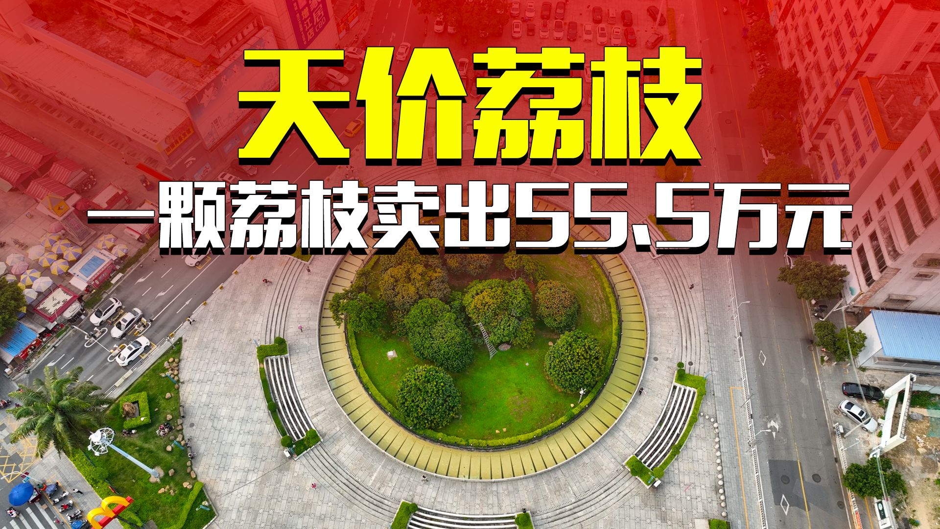 它就是全球最贵的荔枝,一颗被拍卖到了55.5万元的天价哔哩哔哩bilibili