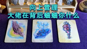向上管理 大佬在背后蛐蛐你什么