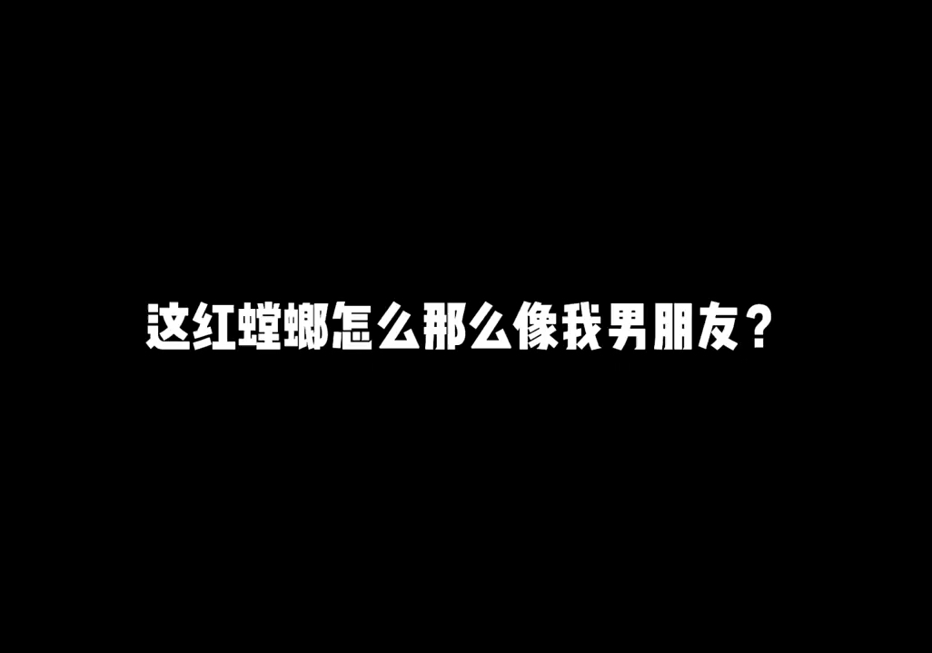 这红螳螂怎么那么像我男朋友?哔哩哔哩bilibili和平精英