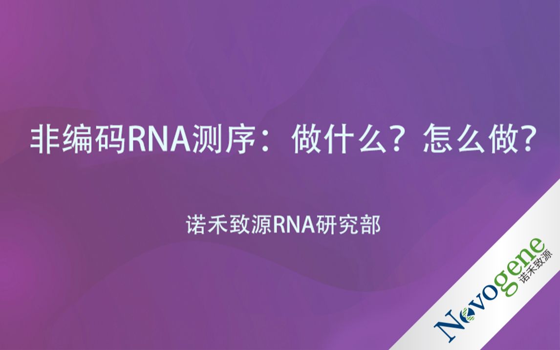 【RNA】一探究竟:非编码RNA测序在做什么?哔哩哔哩bilibili