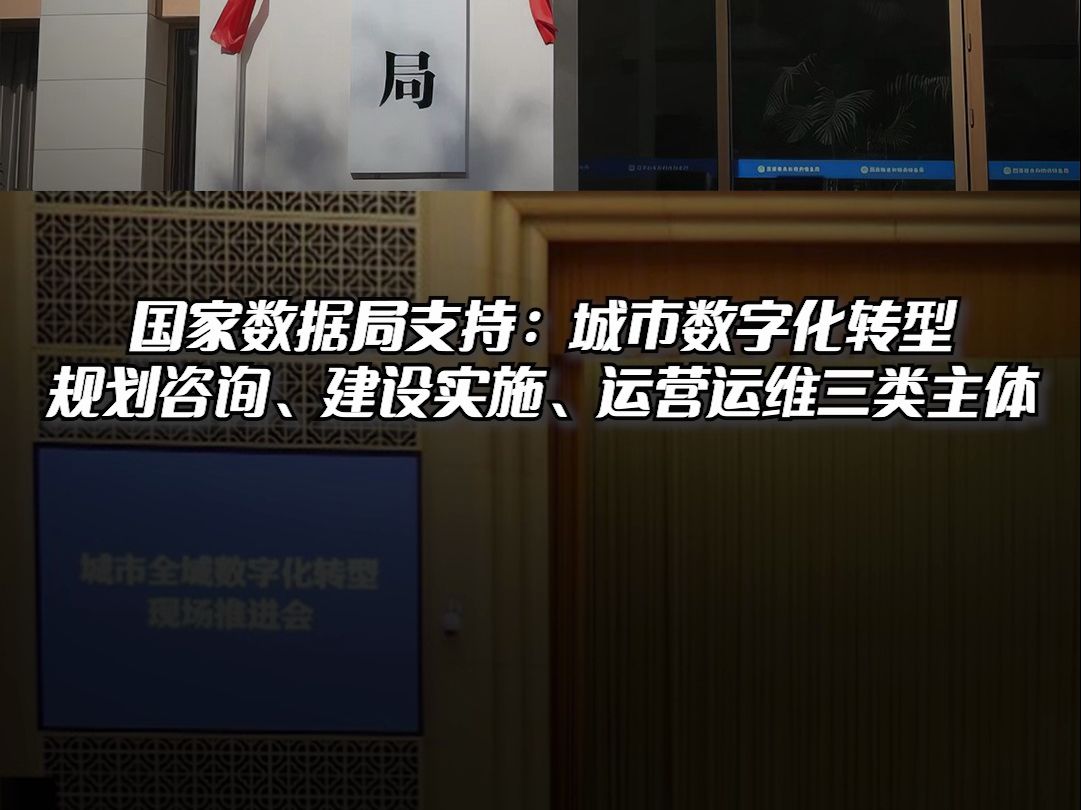 国家数据局支持:城市数字化转型规划咨询、建设实施、运营运维三类主体.哔哩哔哩bilibili