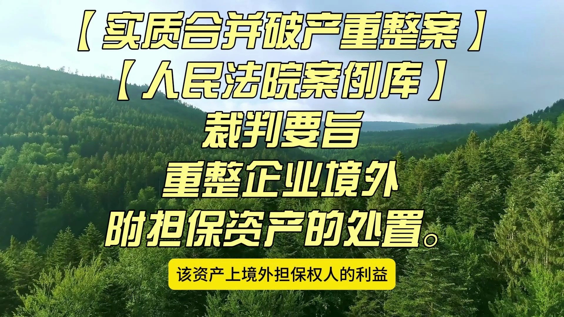 【实质合并破产重整案】【人民法院案例库】重整企业境外附担保资产的处置.哔哩哔哩bilibili