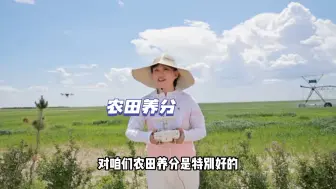 Download Video: 我家乡洮南特产的冰麦，我在现代化的农场里也体验了做一回现代化农民，圣一冰麦，是我家乡洮南的特产