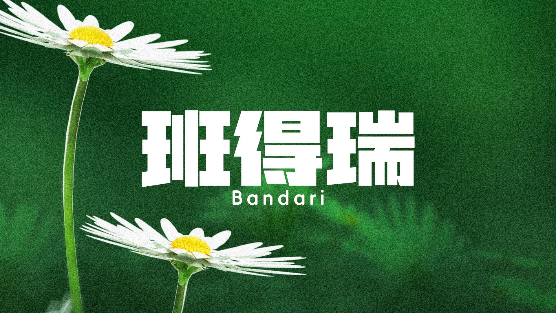 [图]班得瑞Bandari精选50首醉好听的纯音乐NO1经典中的经典！你听过几首？哪一首是你的下课铃声？