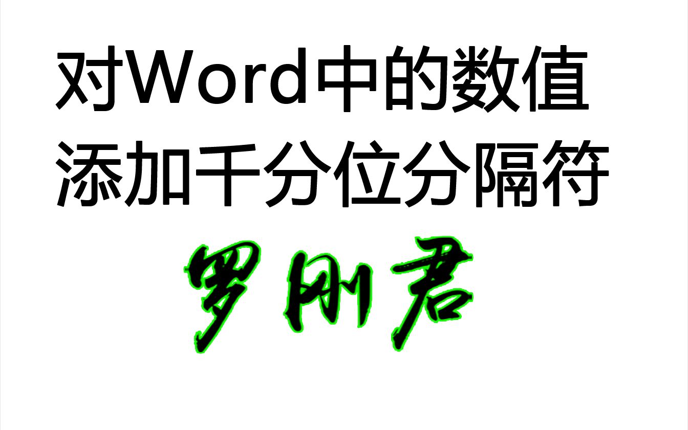 对Word中的数值批量添加千分位分隔符,Word插件 Word精灵,罗刚君哔哩哔哩bilibili