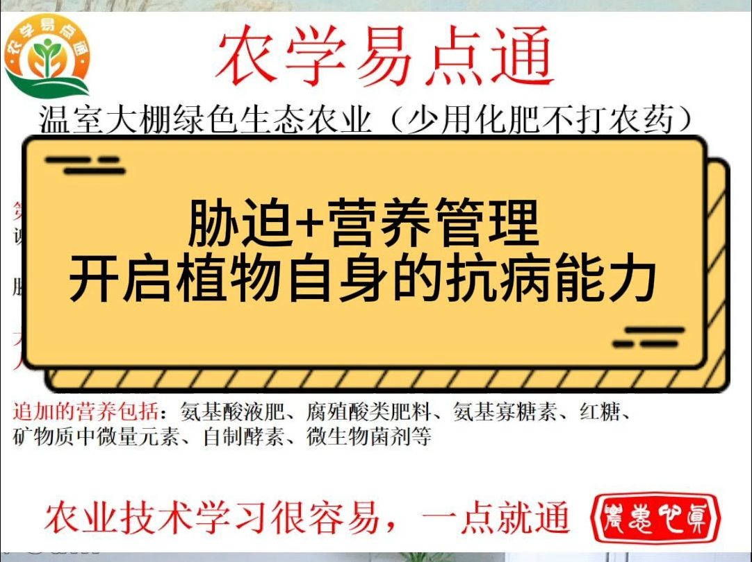 温室大棚绿色生态农业(少用化肥不打农药)优质高产六脉神剑种植技术第四剑:胁迫加营养,开启植物自身的抗病能力哔哩哔哩bilibili