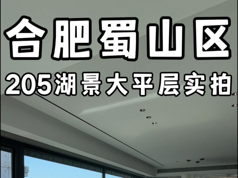 合肥蜀山205平湖景大平层270度会客厅实拍#合肥大平层#合肥大平层设计#合肥大平层推荐#合肥新房哔哩哔哩bilibili