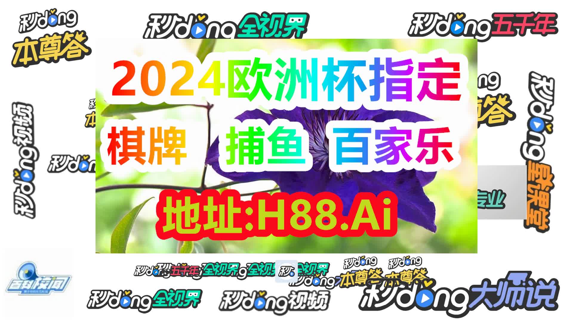 管家婆三期开奖结果(哔哩哔哩)877期