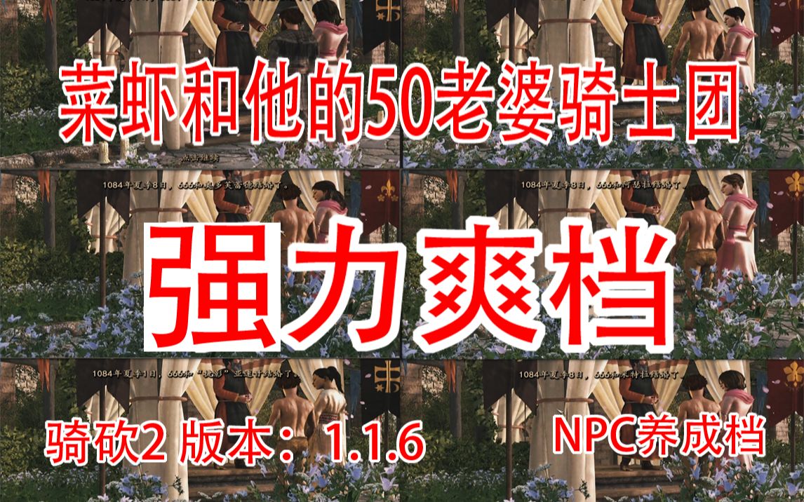 第15P 骑砍2 43人自立后的游击战 NPC养成强力爽档 50位老婆骑士团 版本1.1.6骑砍