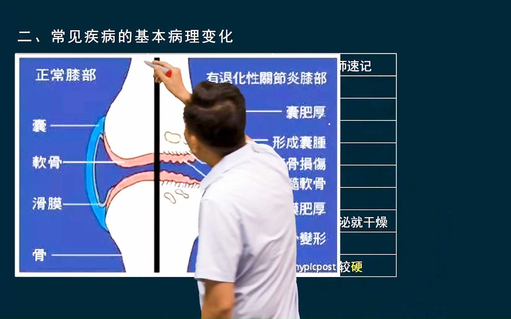 【风湿免疫系统】风湿性疾病常见疾病的基本病理变化,图文结合讲解知识点,哔哩哔哩bilibili